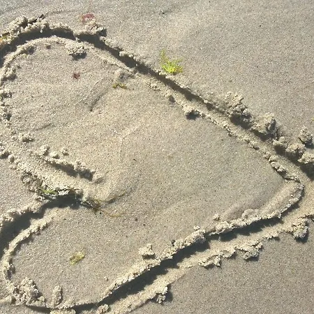 Ferienwohnung Strandlaeufer Ostseebad Kühlungsborn Buitenkant foto