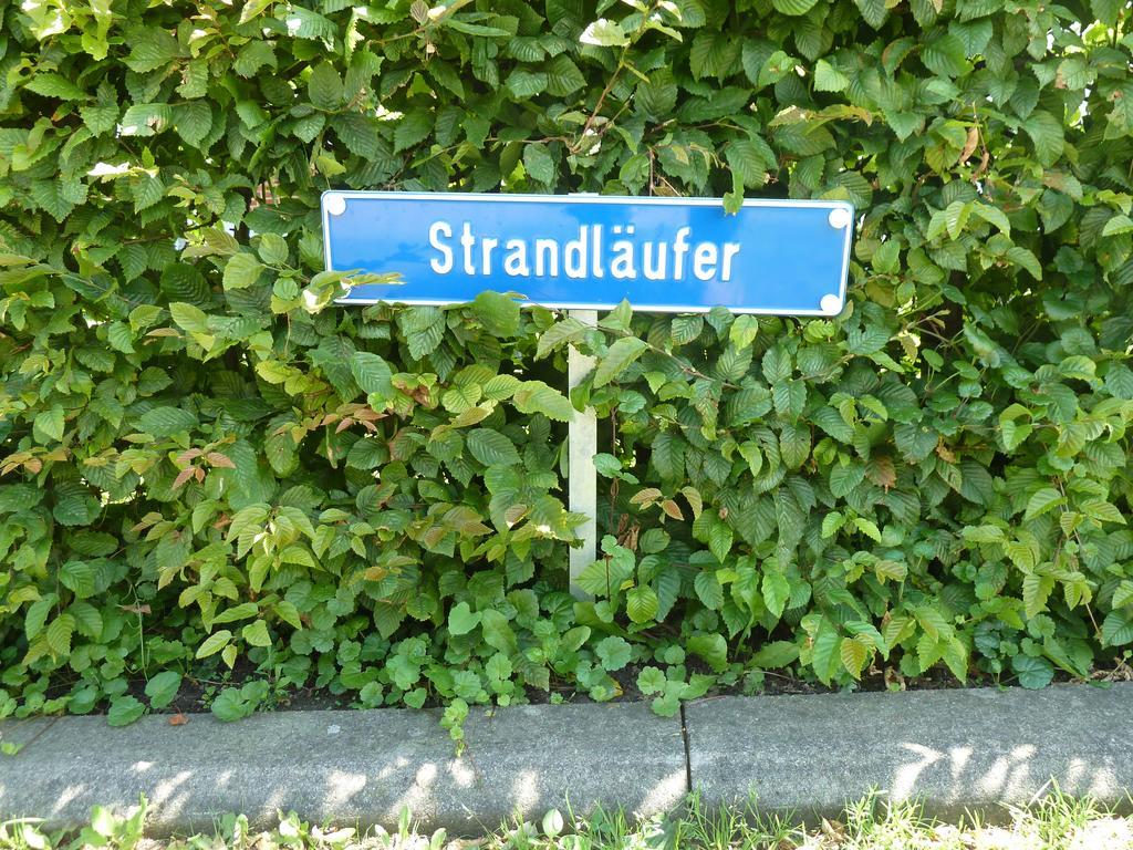 Strandlaufer Kuehlungsborn