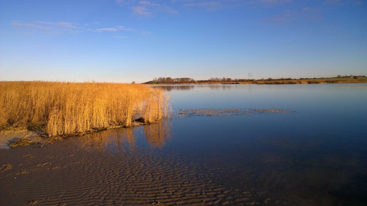 Strandlaufer